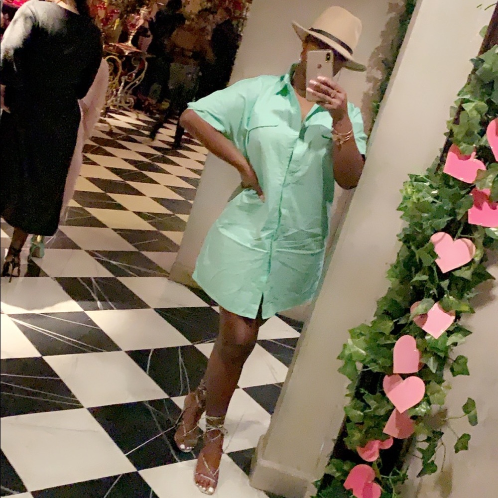 Pretty little things turquoise shirt dress